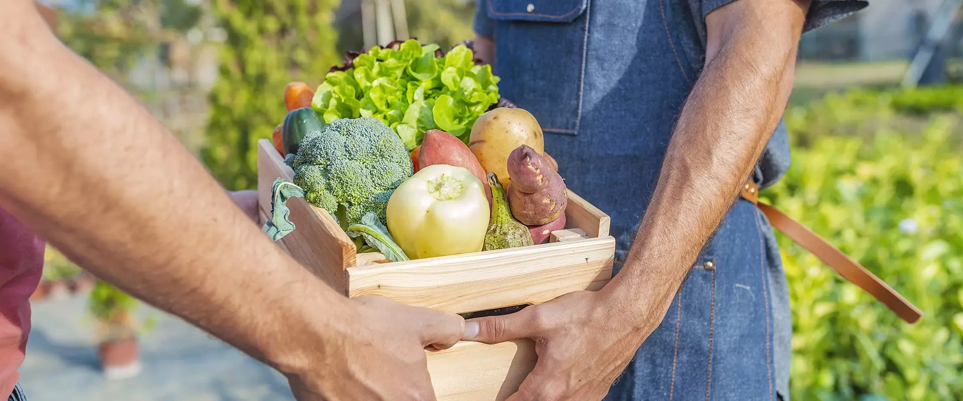 "Accompagnez votre activité avec Easy Expert à Versailles : des solutions adaptées aux besoins des commerces et artisans pour optimiser la gestion comptable et booster votre rentabilité."