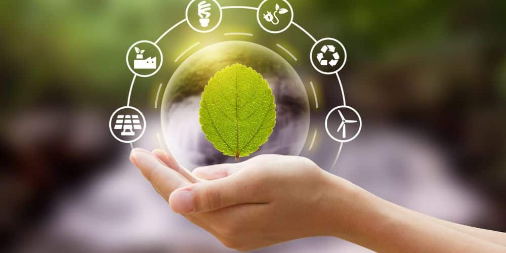 "À Florac, Easy Expert adopte une démarche écoresponsable dans ses pratiques, réduisant l'impact environnemental de la gestion comptable. Engagez-vous pour une comptabilité durable."