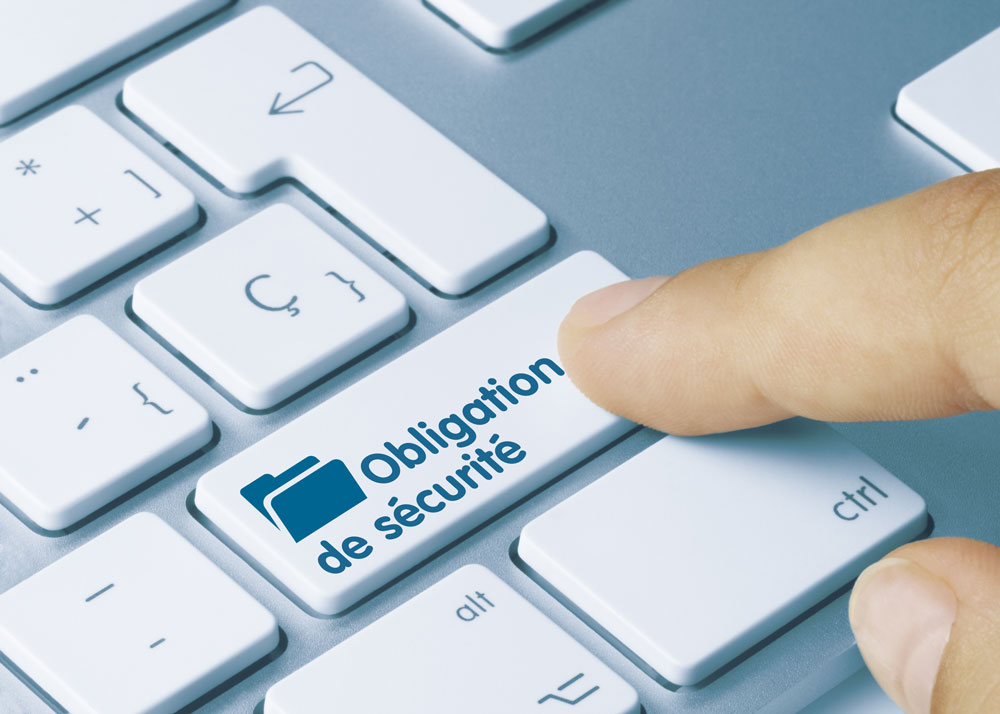 Assurez la sécurisation des données et la conformité RGPD de votre bergerie avec un expert-comptable Easy Expert. Protégez vos informations et évitez les risques juridiques.