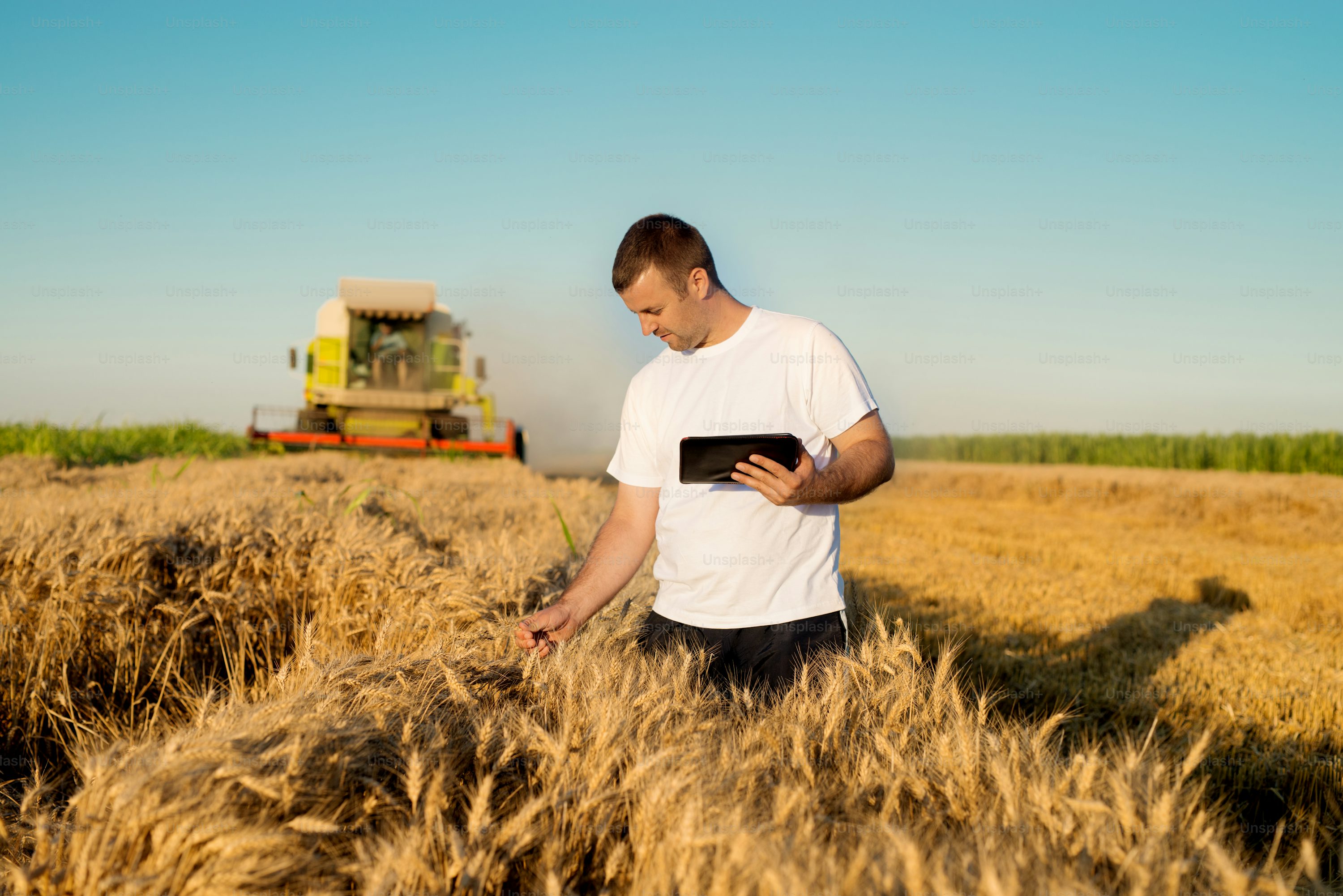 Chez Easy Expert, l’expert-comptable pour céréaliers prend en charge les missions clés : comptabilité agricole, gestion des aides PAC, fiscalité, et suivi des stocks. Il vous accompagne pour optimiser vos marges et sécuriser la gestion de votre exploitation.