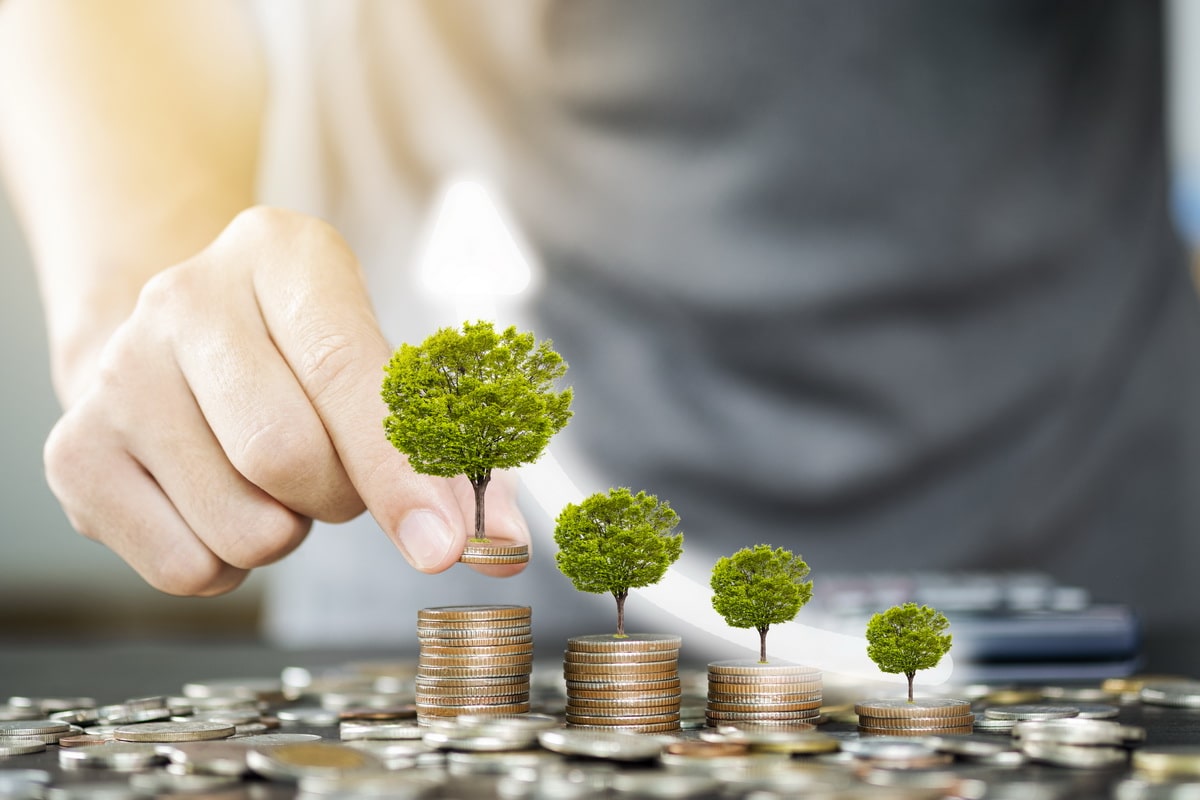 Optimisez vos achats, amortissez vos équipements et réduisez vos charges pour maximiser votre rentabilité. Profitez de conseils fiscaux et financiers adaptés à votre métier pour faire les bons choix d'investissement et pérenniser votre activité. Faites confiance à Easy Expert pour une gestion optimale !