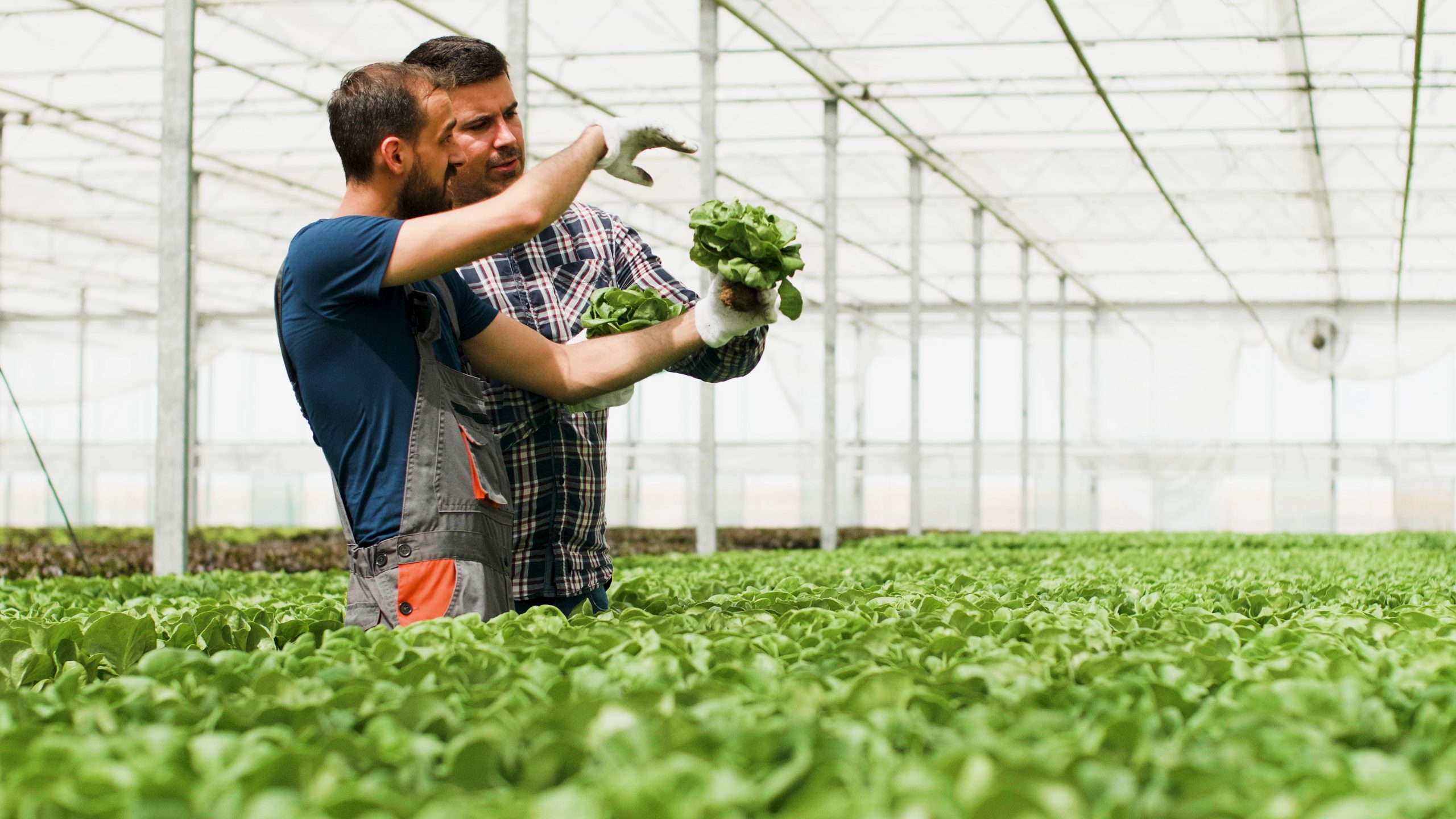 Chez Easy Expert, nos experts-comptables aident les ouvriers agricoles indépendants à préparer leurs projets d’évolution. Qu’il s’agisse d’investir, de changer de statut ou de développer une nouvelle activité, nous vous guidons avec des conseils clairs, adaptés à vos objectifs.