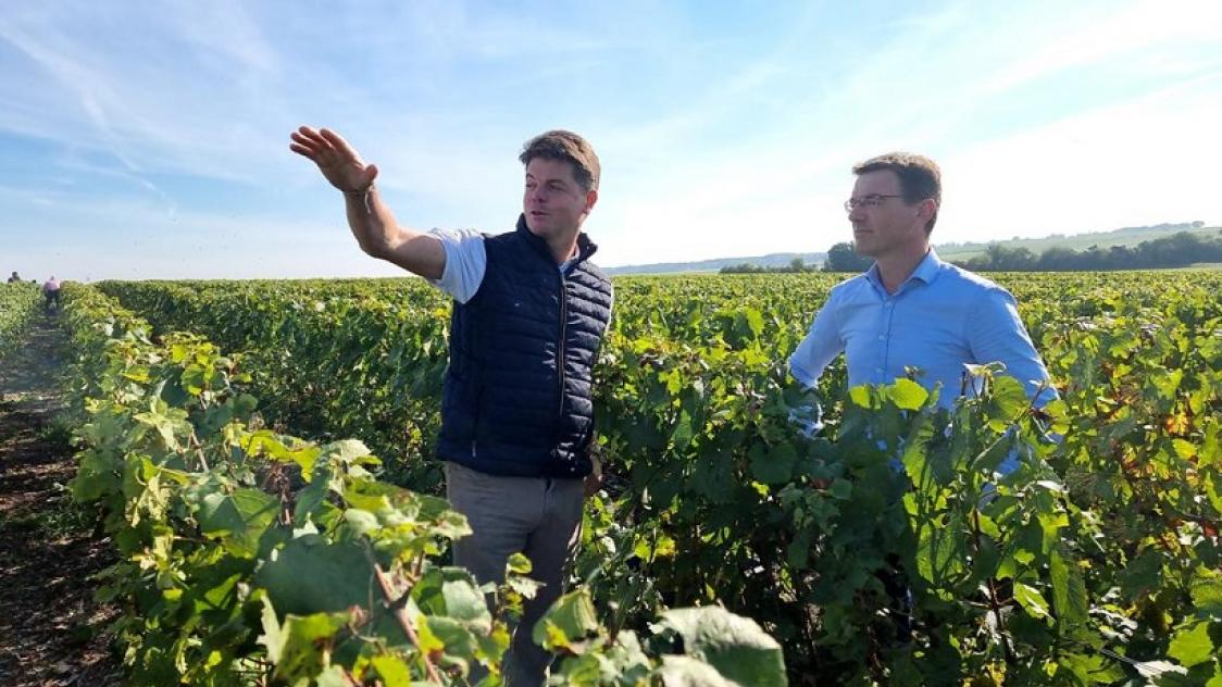 Avec Easy Expert, les ouvriers agricoles indépendants peuvent organiser leur activité pour gagner du temps et rester concentrés sur l’essentiel. Nos experts-comptables vous aident à structurer votre gestion, automatiser les tâches et alléger la charge administrative.