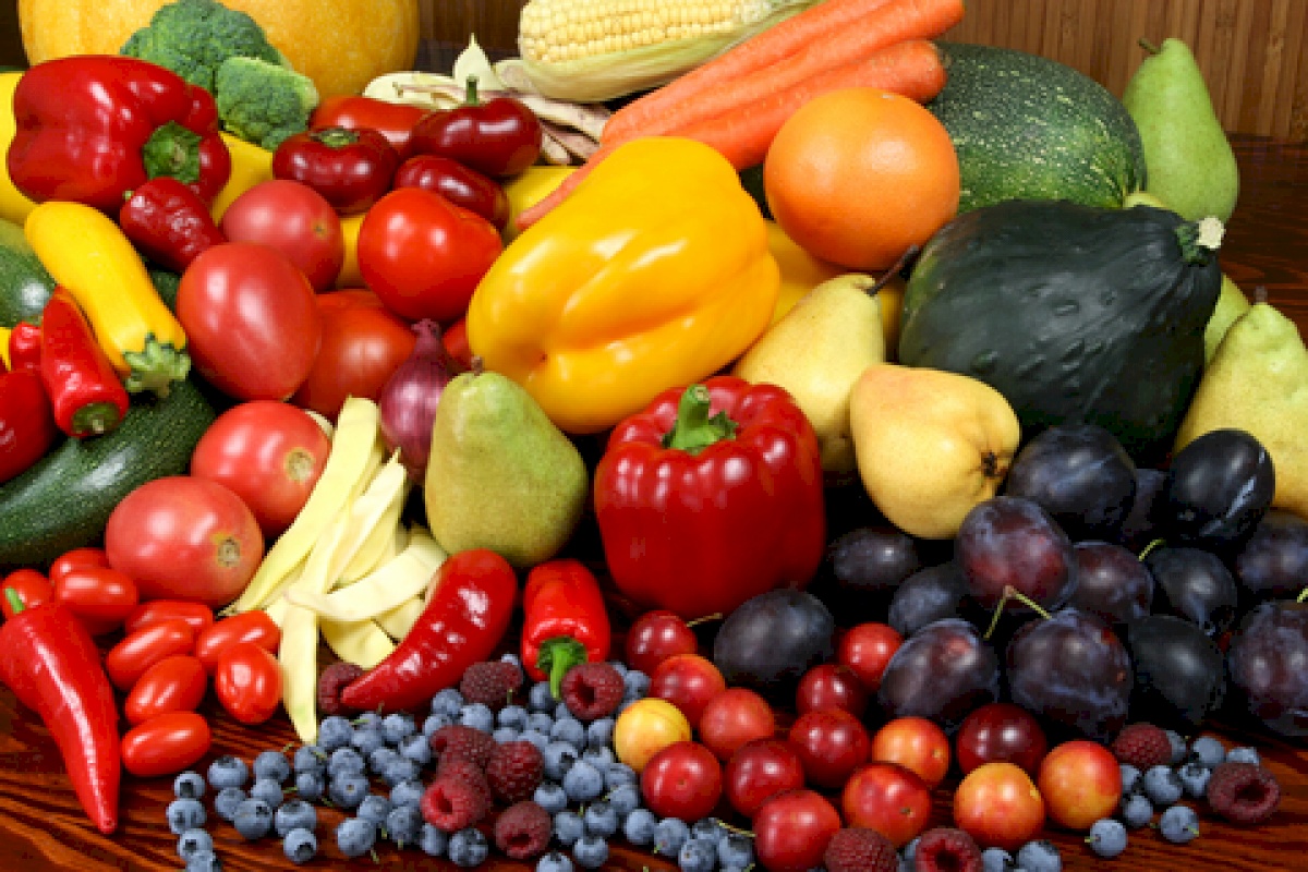 Comprenez vos chiffres pour mieux décider avec un expert-comptable spécialisé pour producteurs de fruits et légumes chez Easy Expert. Analyse de rentabilité, indicateurs clés, conseils stratégiques : prenez les bonnes décisions pour développer votre exploitation en toute confiance.