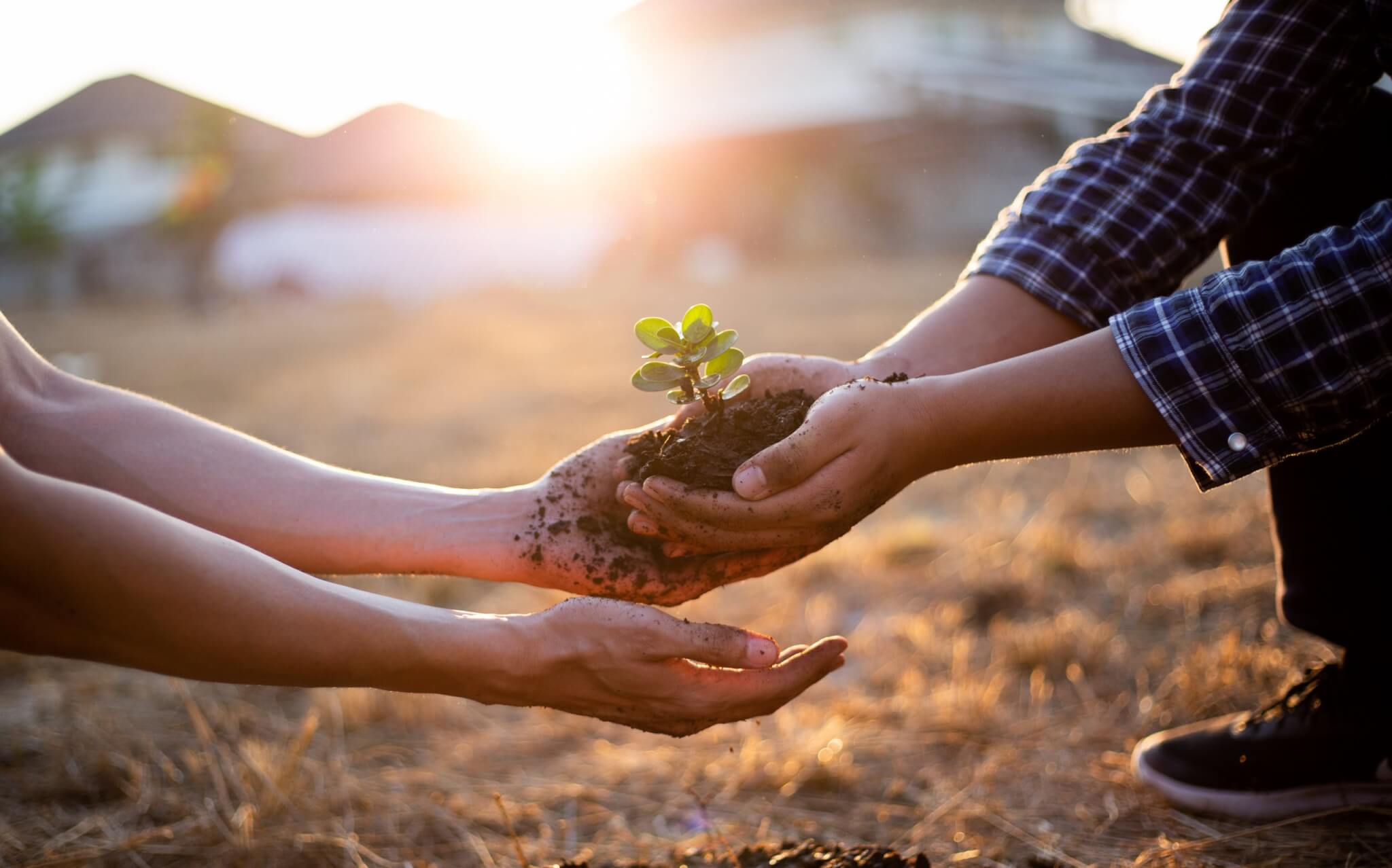Chez Easy Expert, nos experts-comptables accompagnent les producteurs de spiruline pour profiter des aides agricoles et bio. Nous identifions les dispositifs disponibles, montons les dossiers et vous aidons à sécuriser ces financements pour soutenir votre activité durable.