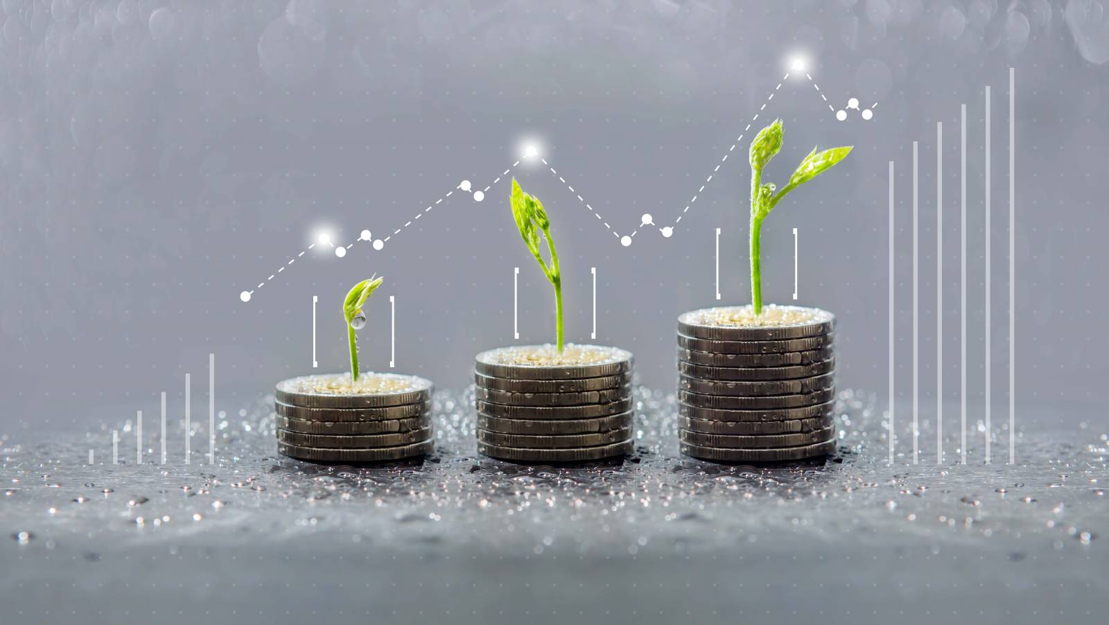 Easy Expert accompagne les usines de recyclage dans l’optimisation fiscale liée à la transition verte. Nos experts-comptables identifient les dispositifs fiscaux adaptés pour réduire vos charges tout en soutenant vos engagements environnementaux. Alliez performance et responsabilité.