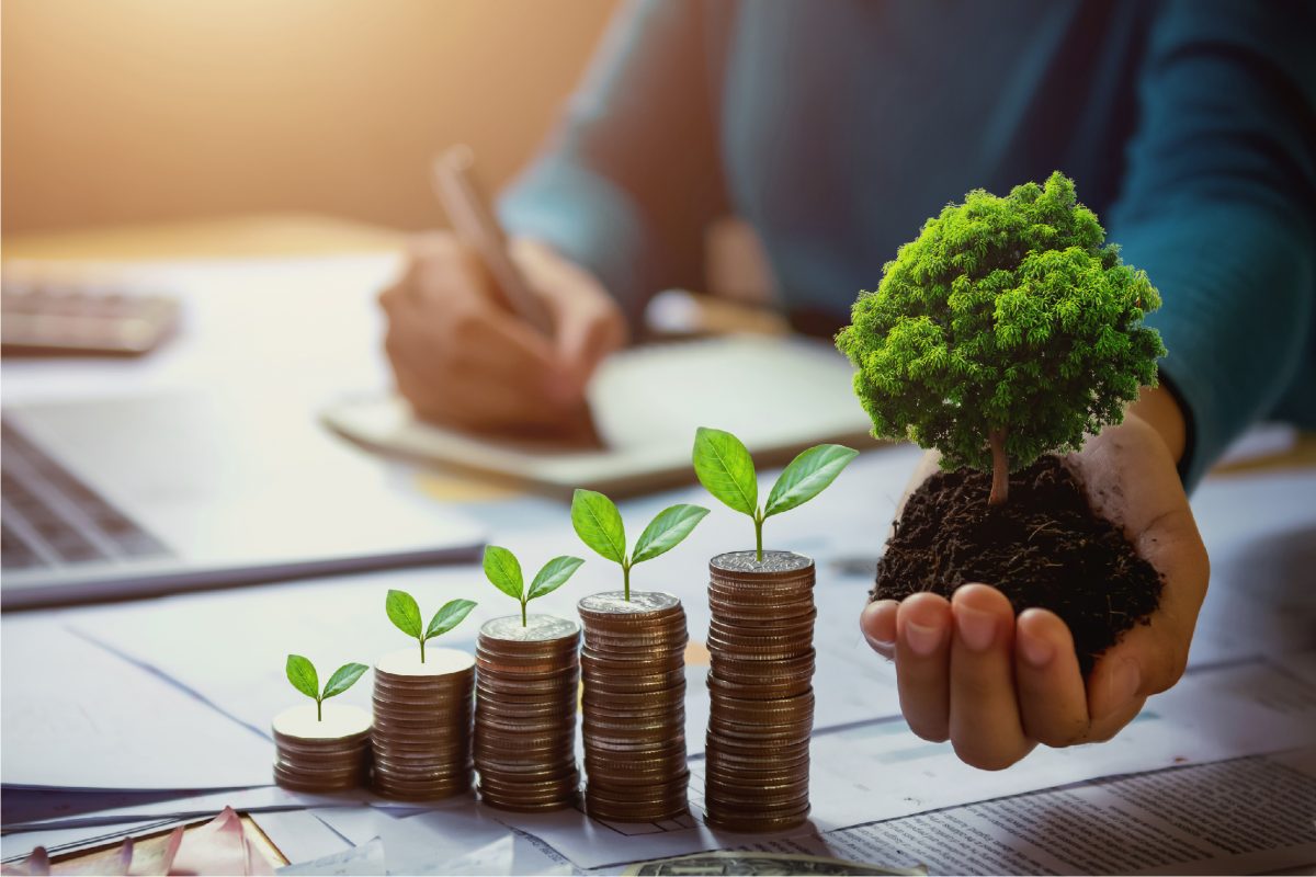 Avec Easy Expert, les usines textiles intègrent la Responsabilité Sociale et Environnementale (RSE) dans leur gestion. Nos experts-comptables vous accompagnent pour mesurer vos impacts, structurer vos engagements et valoriser votre démarche auprès des parties prenantes.
