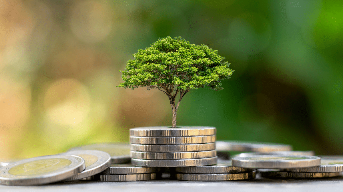 "Adoptez une approche durable avec Easy Expert à Montdidier : une gestion comptable verte pour intégrer des pratiques écoresponsables tout en optimisant vos performances financières."