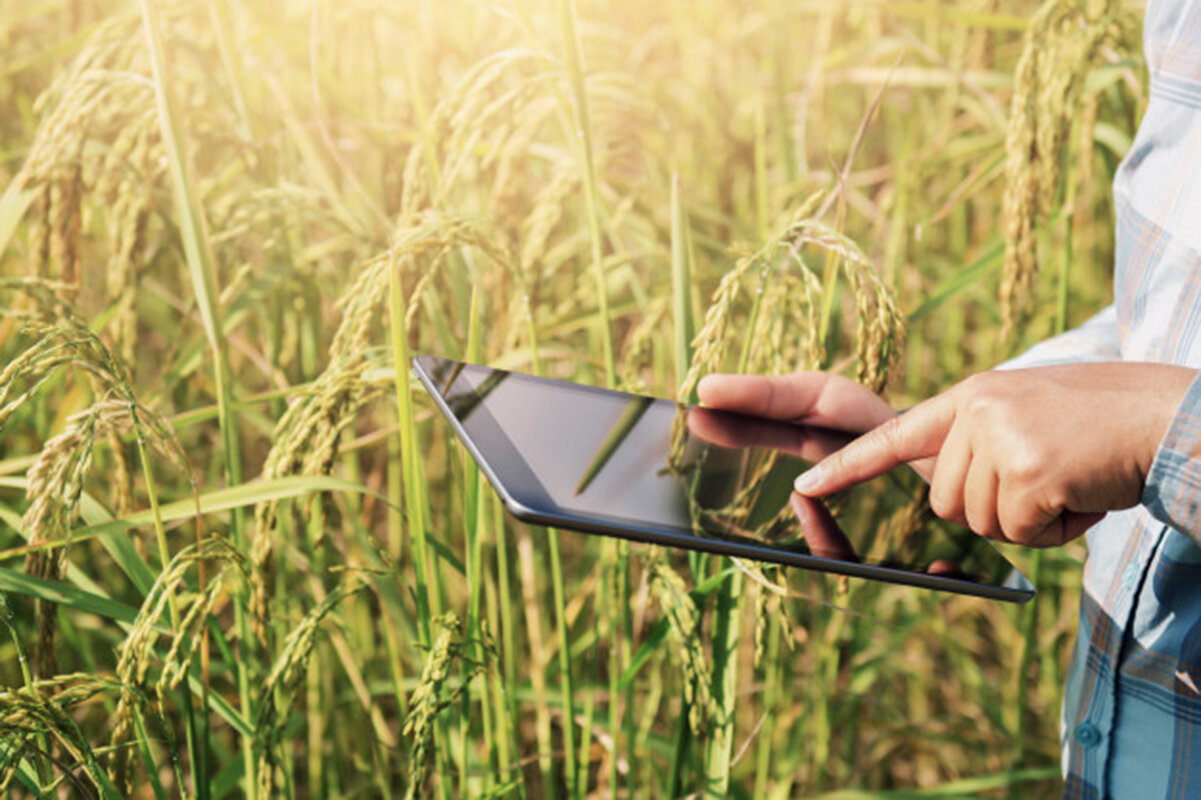 "Easy Expert à Montauban accompagne les exploitations agricoles et entreprises agroalimentaires. Bénéficiez d’une expertise dédiée pour optimiser votre gestion comptable, fiscale et sociale, adaptée à votre secteur."